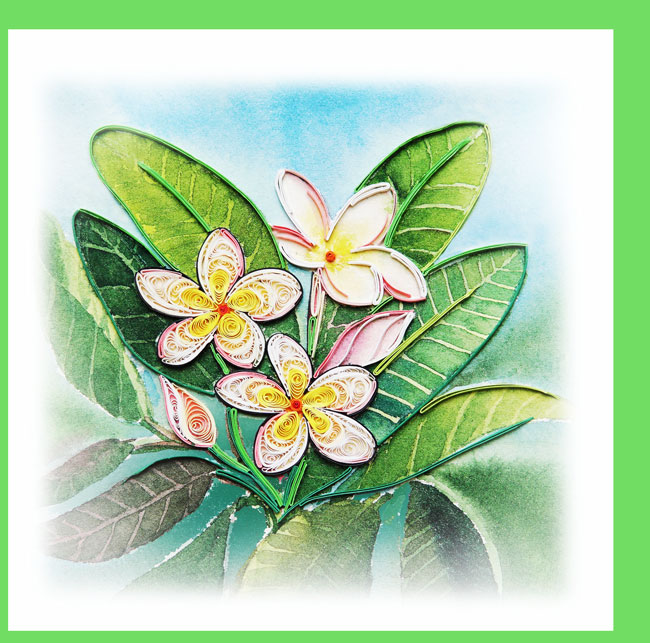 plumeria